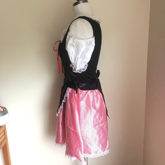 German Austrian Dirndl Dress Costume - Picture 5 of 9
